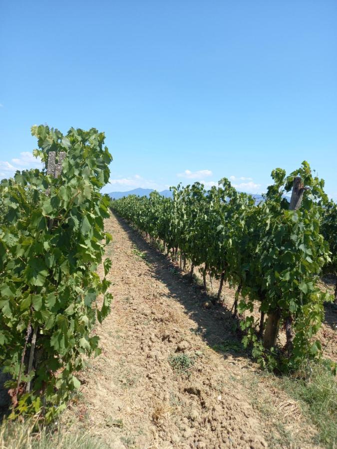 La Quiete Tra Le Vigne Tuscany كوليسالفاتي المظهر الخارجي الصورة