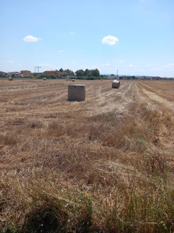La Quiete Tra Le Vigne Tuscany كوليسالفاتي المظهر الخارجي الصورة