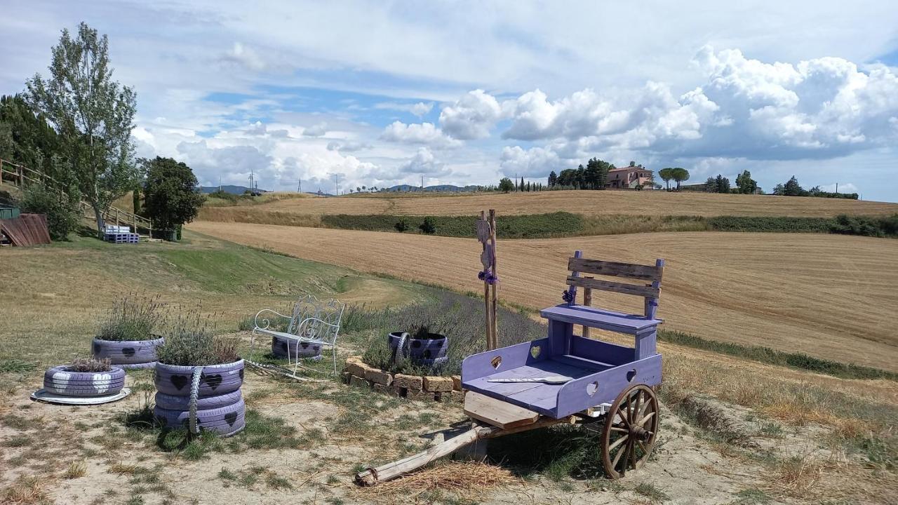 La Quiete Tra Le Vigne Tuscany كوليسالفاتي المظهر الخارجي الصورة