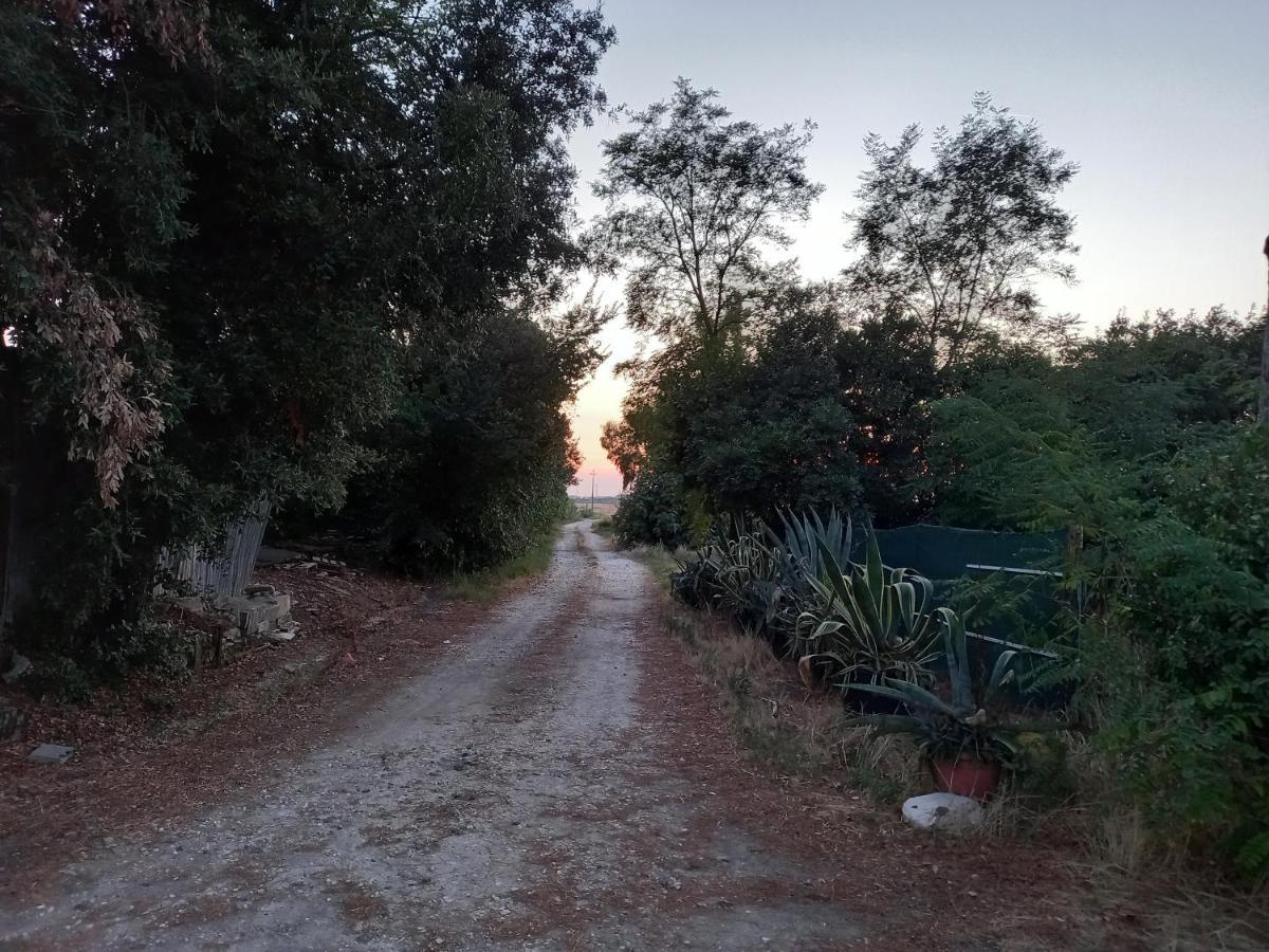 La Quiete Tra Le Vigne Tuscany كوليسالفاتي المظهر الخارجي الصورة