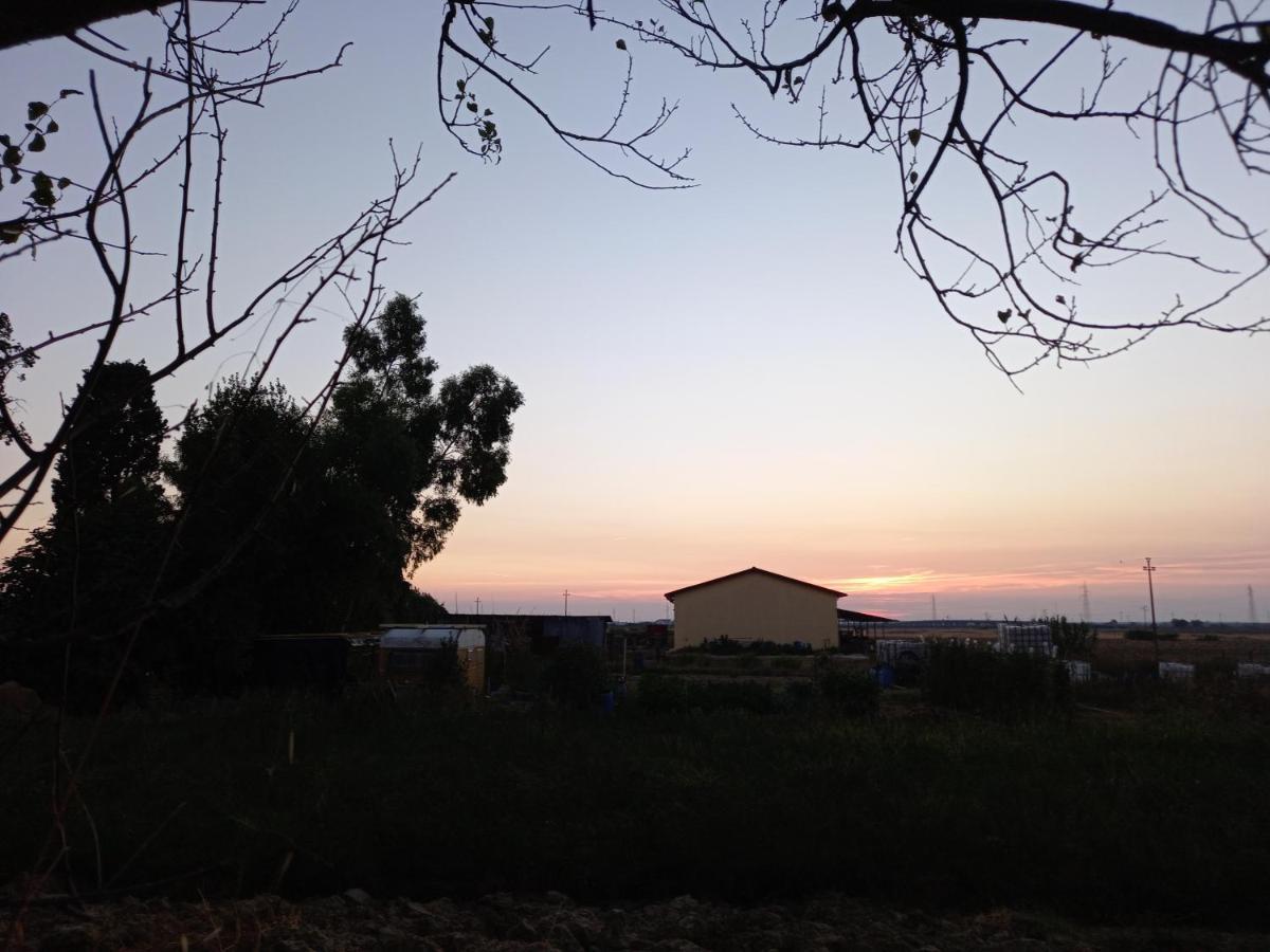 La Quiete Tra Le Vigne Tuscany كوليسالفاتي المظهر الخارجي الصورة