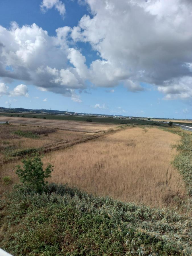 La Quiete Tra Le Vigne Tuscany كوليسالفاتي المظهر الخارجي الصورة