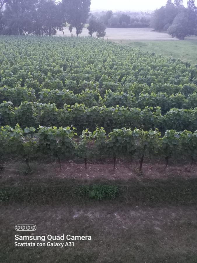 La Quiete Tra Le Vigne Tuscany كوليسالفاتي المظهر الخارجي الصورة